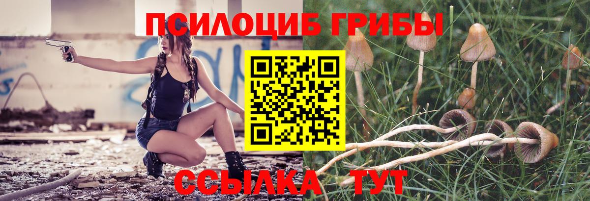 Псилоцибиновые грибы ЛСД  Вход с VPN  Якутск 